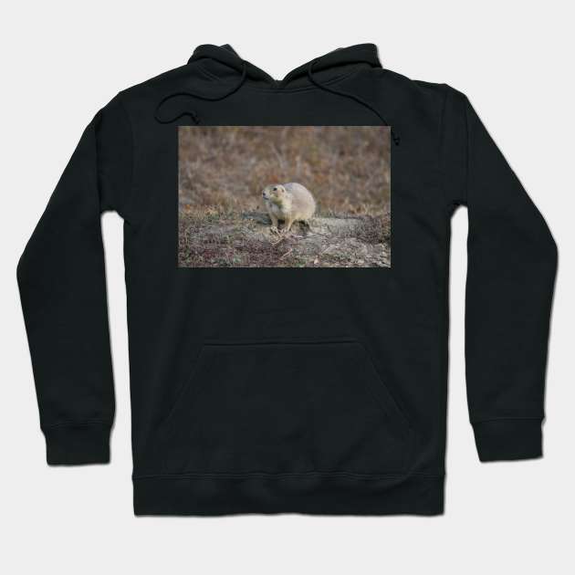 Wild Prairie Dog Hoodie by MarieDarcy